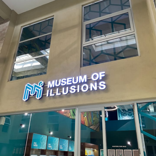 Museum of Illusions, Karura Forest & Tea Farm excursions